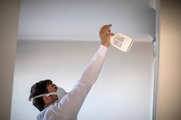 Best Residential Mold Remediation in Center Line, MI